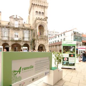 A exposición “A Camelia Flor das galegas e galegos” chega ó Porriño