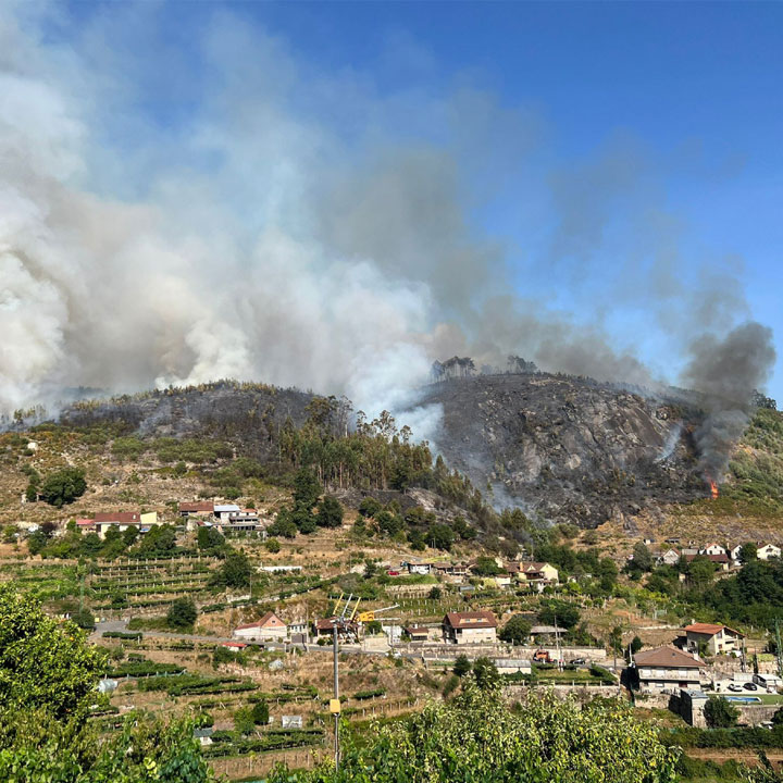 A Picoña